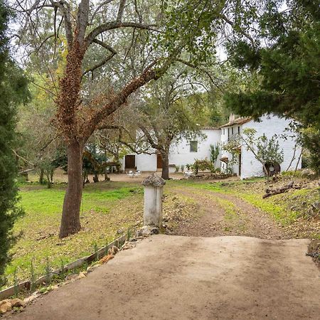 Molino De Gris Cazorla Villa Chilluevar Luaran gambar